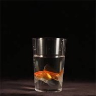 MILK TO {BAZAR DE MAGIA}