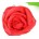 Flower & Silk Magic