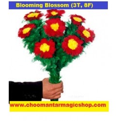 BLOOMING BLOSSOM{3T-8F}