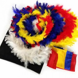 COLOR CHANGE FEATHER RINGS