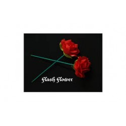 Flash Flowers (Red)