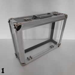 CRYSTAL BRIEFCASE  { 2 TIMES }