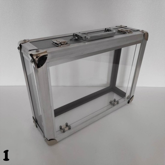 CRYSTAL BRIEFCASE  { 2 TIMES }