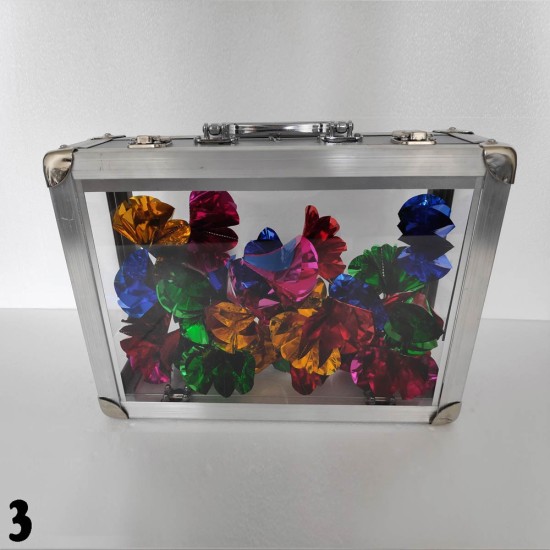 CRYSTAL BRIEFCASE  { 2 TIMES }
