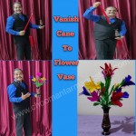 VANISHING CANE TO FLOWER VASE