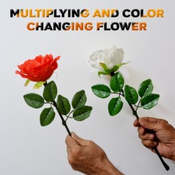 Multiplying & Color Changing Flower{SR}